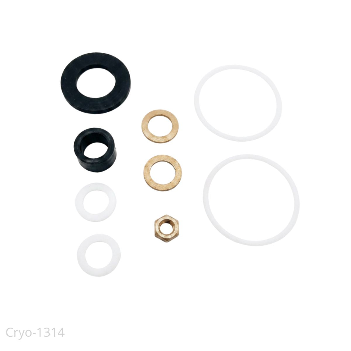 Kit De Recambio Sellado para Valvula Globo Cryogenica DN-65